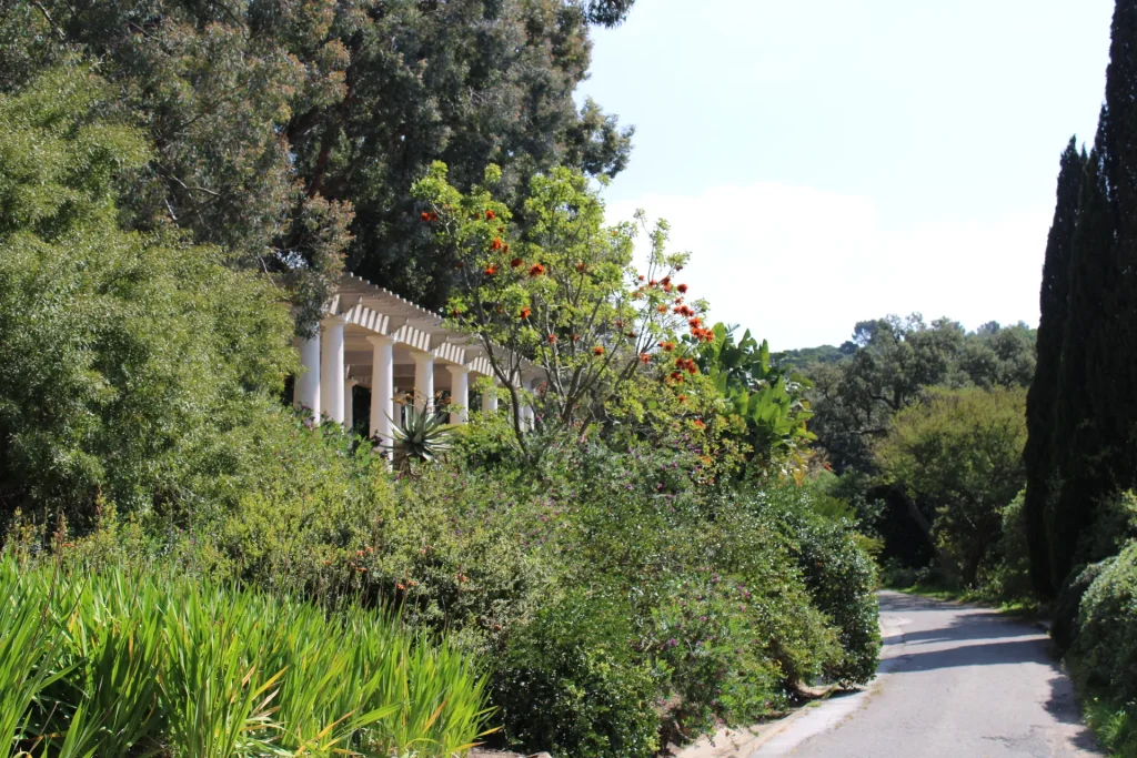 Allée du Domaine du Rayol près du bâtiment, au milieu de la végétation méditerranéenne